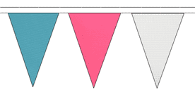 Transgender Pride Flag Colours Triangular Bunting - 10m / 20m / 50m Lengths