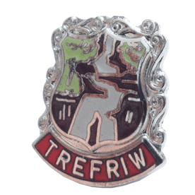 Trefriw Pin Badge