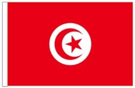 Tunisia 18" x 12" (45cm x 30cm) Sleeved Boat Flag