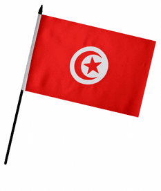 Tunisia Medium Hand Flag