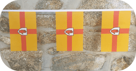 Ulster Flag Bunting