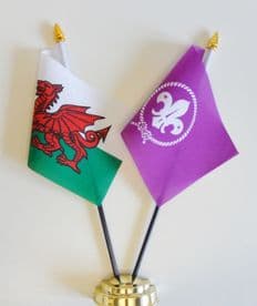 Wales and Scout Movement Friendship Table Flag