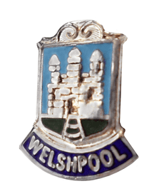 Welshpool Town Pin Badge
