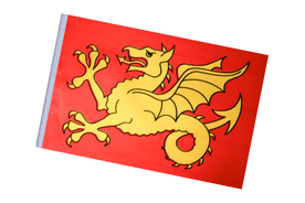 Wessex Region Small Craft Flag