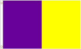 Wexford GAA Colours Ireland Polyester 5'x3' Flag