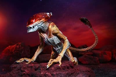 Aliens Panther Alien (Kenner Tribute)