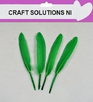 100 QUALITY GREEN GOOSE QUILL FEATHERS 10cm to 15cm / ARTS & CRAFTS / CARD MAKING /