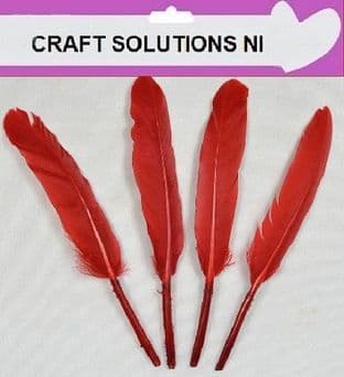 100 QUALITY RED GOOSE QUILL FEATHERS 10cm to 15cm / ARTS & CRAFTS / CARD MAKING /