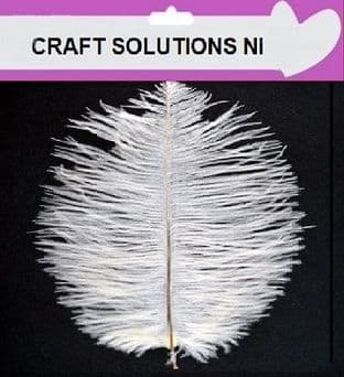 5 IVORY FLUFFY OSTRICH FEATHERS 25cm to 30cm / ARTS & CRAFTS / CARD MAKING