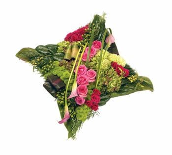 Contemporary Cushion