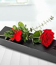 Single Boxed Red Rose