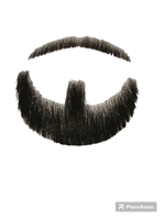 1 Realistic Looking Goatee Men's Beard Lace Hand-Made Fake Facial moustache Costume Pretend