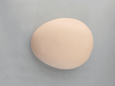 Mannequin Half Head. Dummy Head