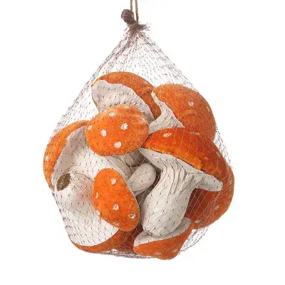 Bag of Velvet Spotted Orange Toadstools
