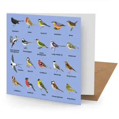 British Birds Greetings Card
