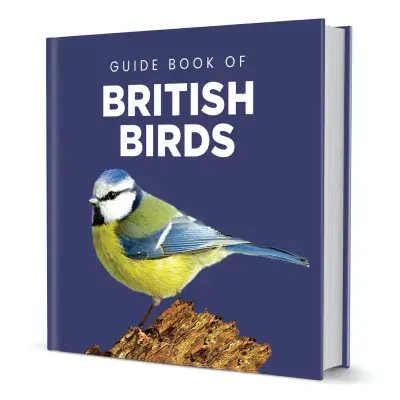 Guide Book To British Birds