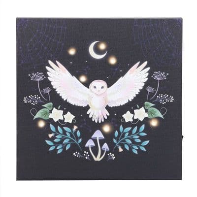 Night Owl Light Up Canvas Plaque