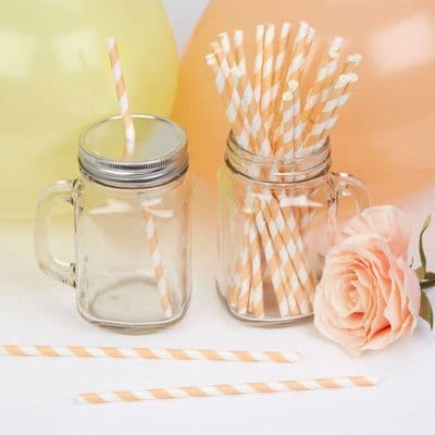 Paper Straws - Coloured