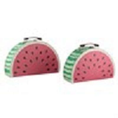 Set of 2 Watermelon storage cases