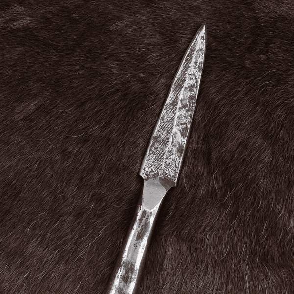 Germanic Framea Sharpened, Approx 24cm