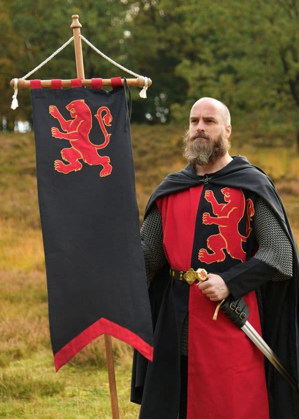 Lined Medieval Tabard with Lion, Mi-Parti, Blue - Red-Black