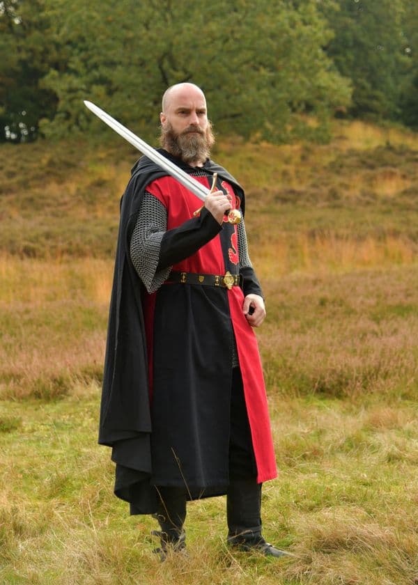 Lined Medieval Tabard with Lion, Mi-Parti, Blue - Red-Black