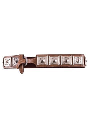 Rheingönheim Cingulum, Roman Belt, 1st C AD