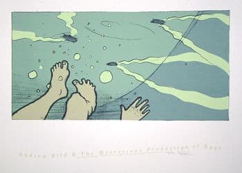 Andrew Bird - The Naming of Things