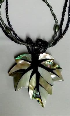 The Abalone Shell  Leaf