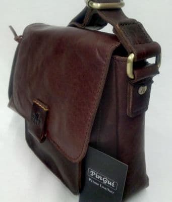 The Delightful Little Carrier