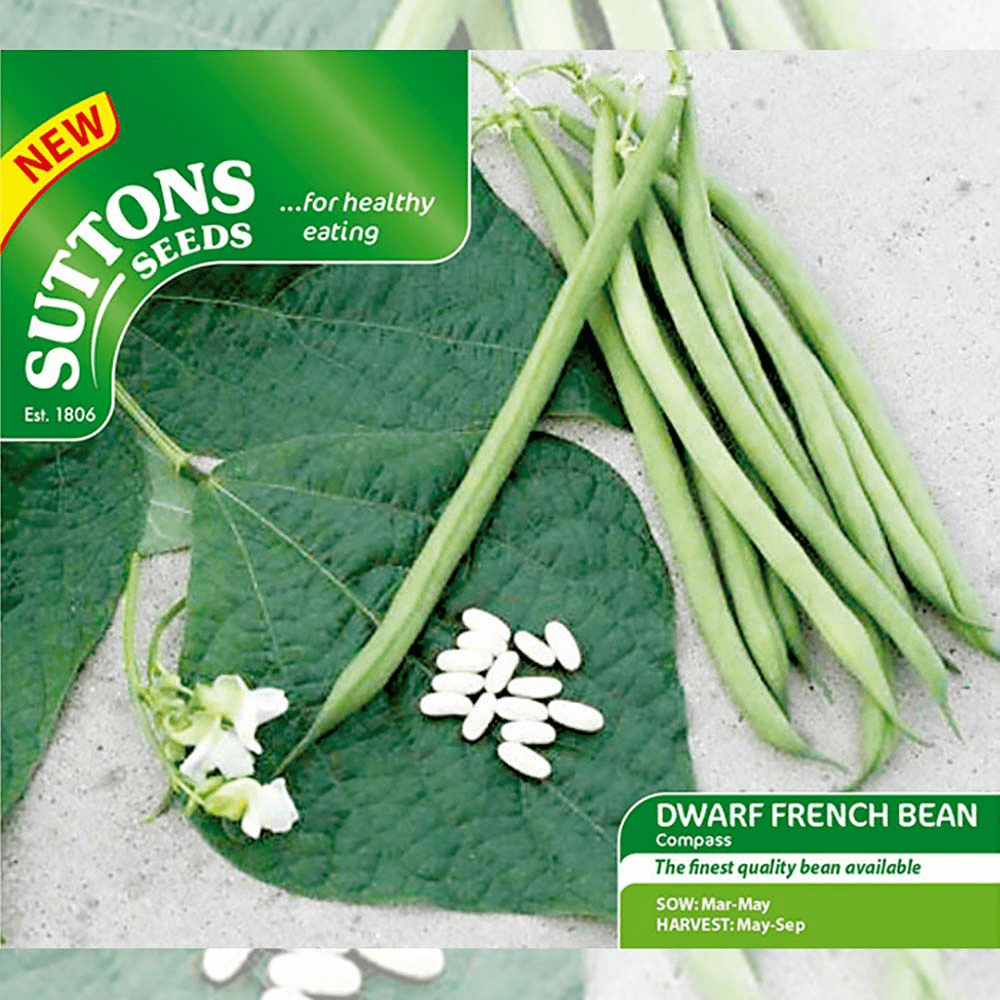 Suttons Dwarf French Bean Seeds Compass