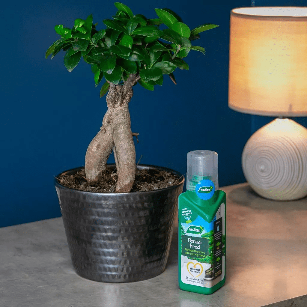 Westland Bonsai Feed 200ml