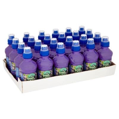 Fruit Shoot Purple 24 X 200Ml