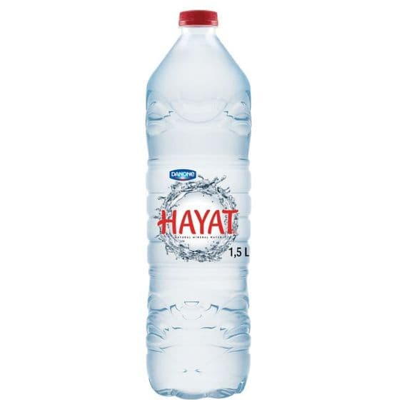 Hayat Water (500Ml X 24)