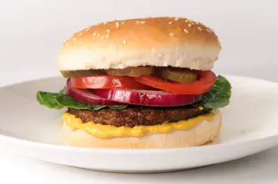 Soya Veggie Burger 113G X 24