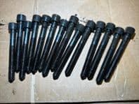 99-05 LEXUS IS200 BOLTS FOR CYLINDER HEAD X14 1GFE Engine 2.0