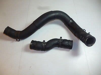 Hose, Lower Radiator Hose 3614419M1 | AGCO