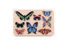 Bajo, World of Butterflies Sorter