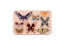 Bajo, World of Butterflies Sorter