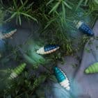 Eperfa, Firefly