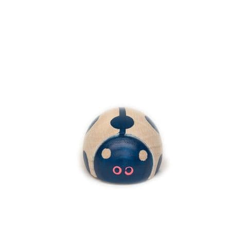 Eperfa, Hillside Beetle, Ladybird