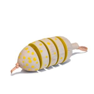 Eperfa, Hillside Fruit Rattle, Catkin