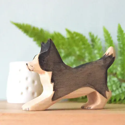 Eric & Albert, Border Collie