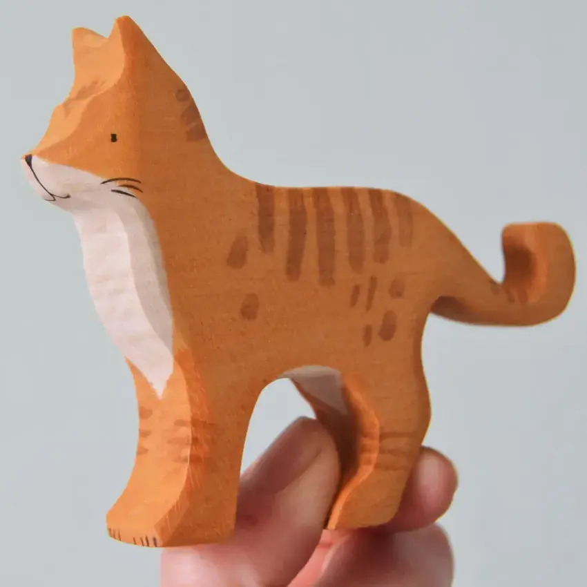 Eric & Albert, Ginger Cat