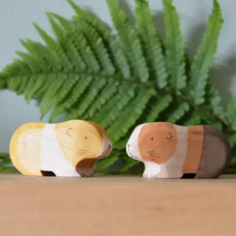 Eric & Albert, Guinea Pig