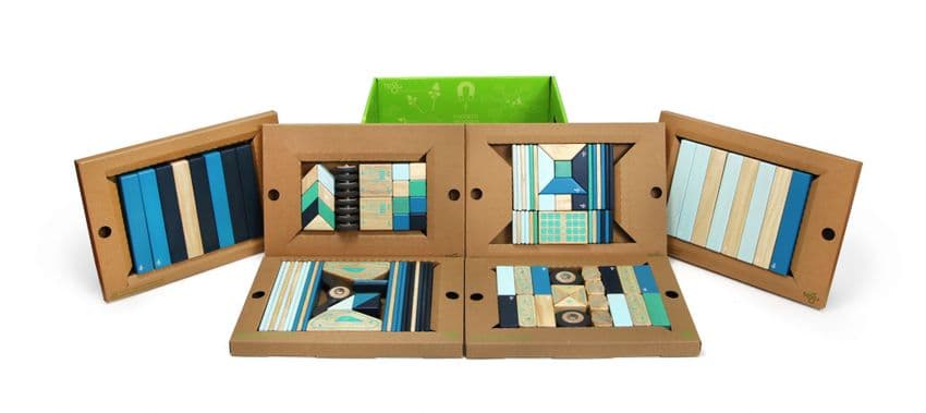 Tegu, 130 piece, classroom kit, Future