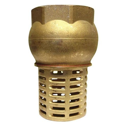 Brass Foot Valve & Strainer