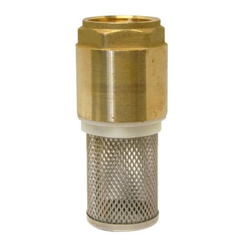 Brass Spring Check Valve & Strainer