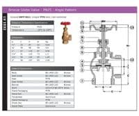 Bronze Globe Valve  PN25  Angle Pattern