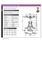 Bronze Globe Valve  PN25  SDNR